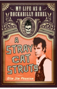 stray-cat-struts