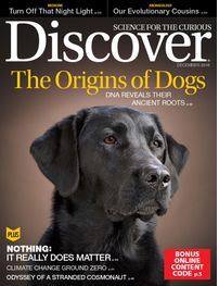 discover-dogs