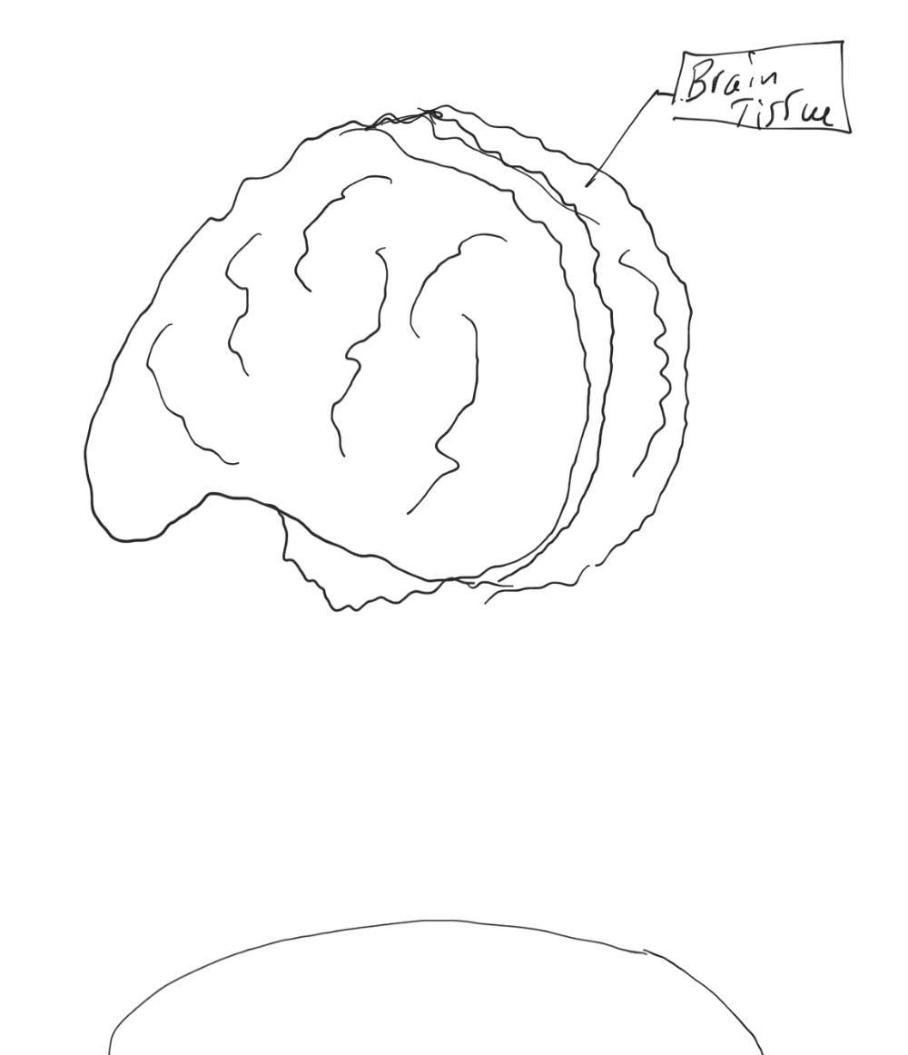 Notes_180323_134957_cf7_1