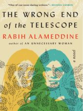 The Wrong End of the Telescope