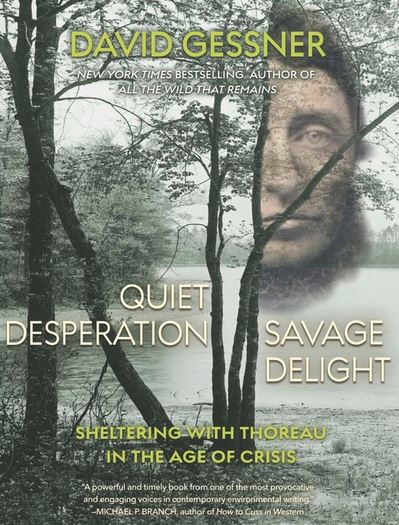 Quiet Desperation Savage Delight