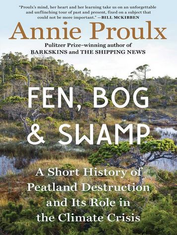 Fen Bog &amp; Swamp