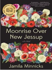 Moonrise Over New Jessup